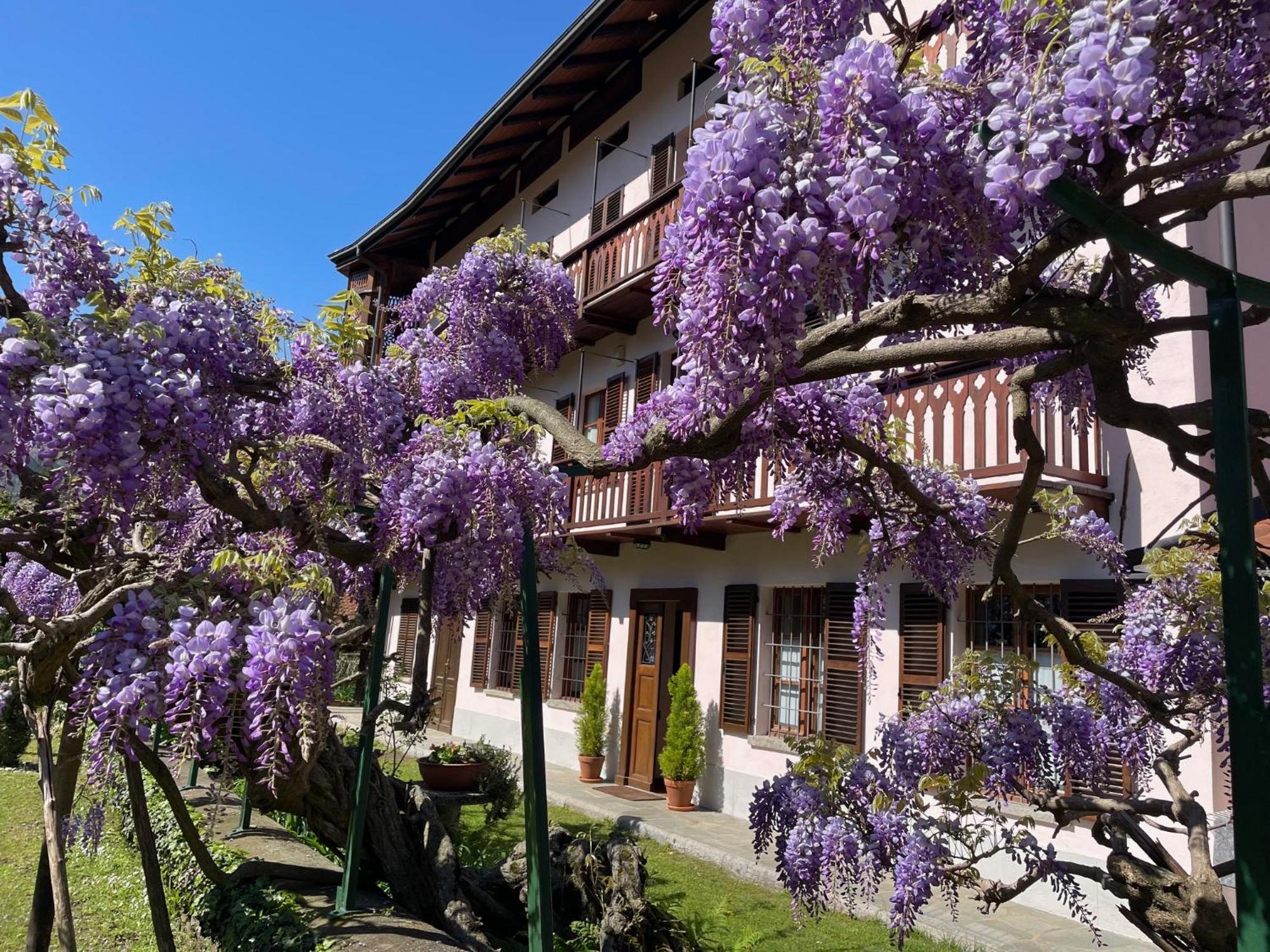 Dimora Fiorita Junior My Holiday Home Varallo Exterior foto